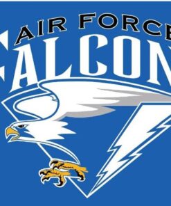 Air Force Falcons Logo Flag 3x5ft