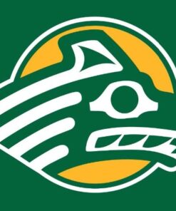 Alaska Anchorage Seawolves Logo Hand Flag 3x5ft