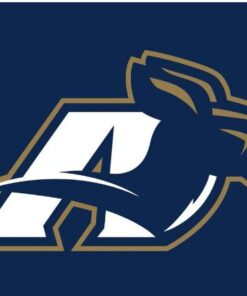 Akron Zips Logo Hand Flag 3x5ft
